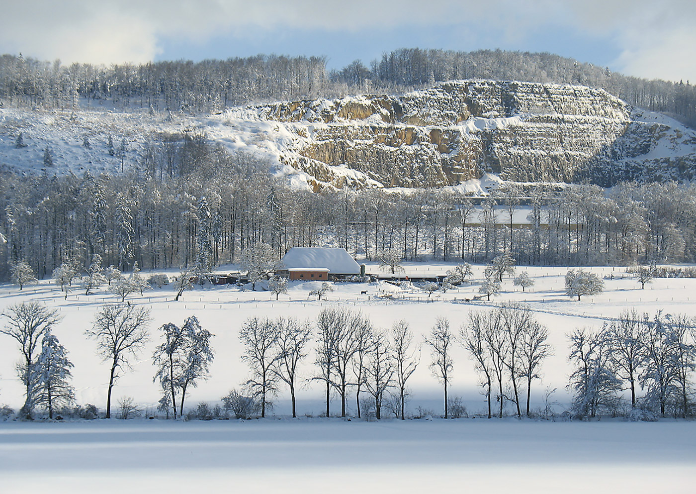 Herzlich willkommen im Stall du Mont!